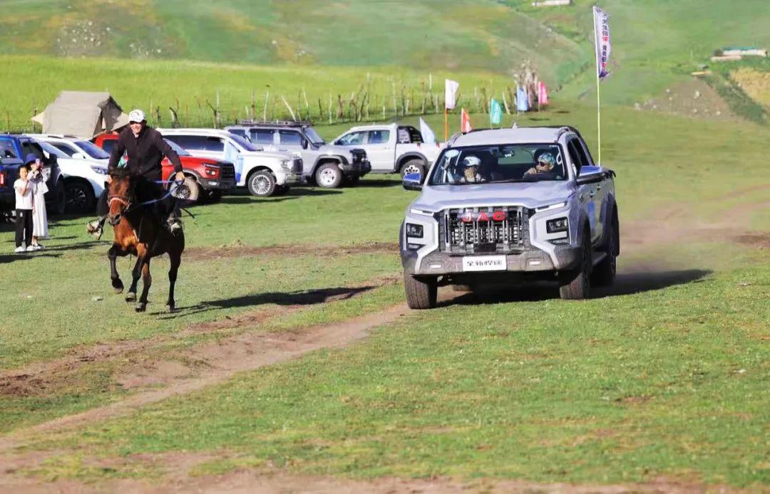 d88尊龙z6(中国)官方网站